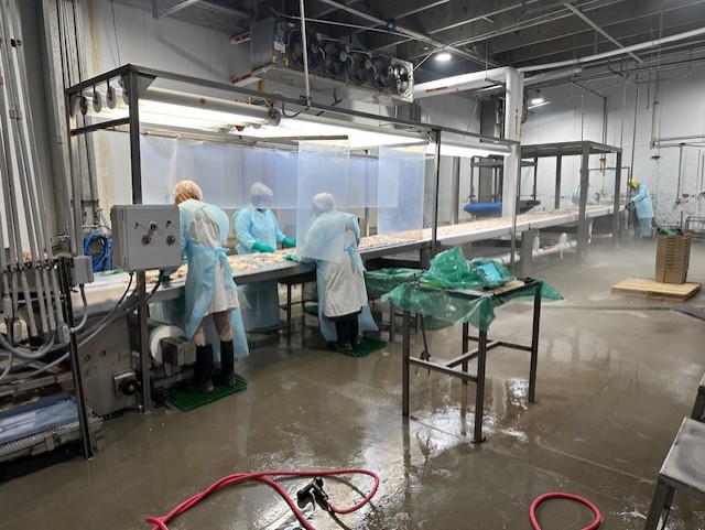 RMF Contact Freezer